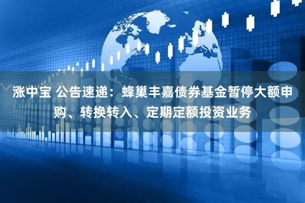 涨中宝 公告速递：蜂巢丰嘉债券基金暂停大额申购、转换转入、定期定额投资业务