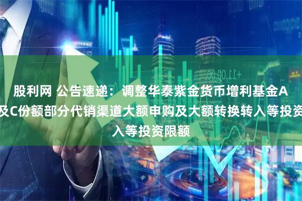 股利网 公告速递：调整华泰紫金货币增利基金A份额及C份额部分代销渠道大额申购及大额转换转入等投资限额