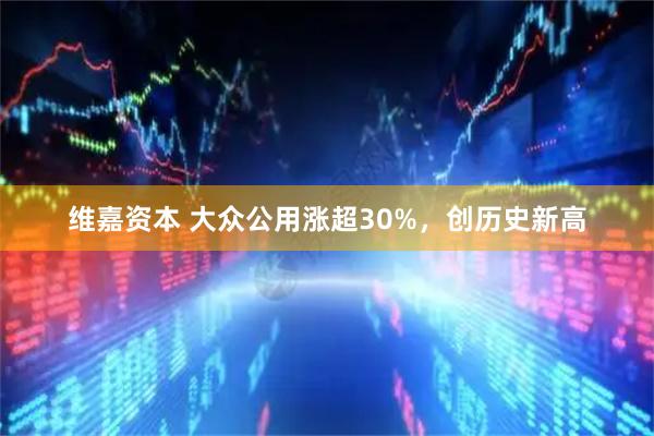 维嘉资本 大众公用涨超30%，创历史新高