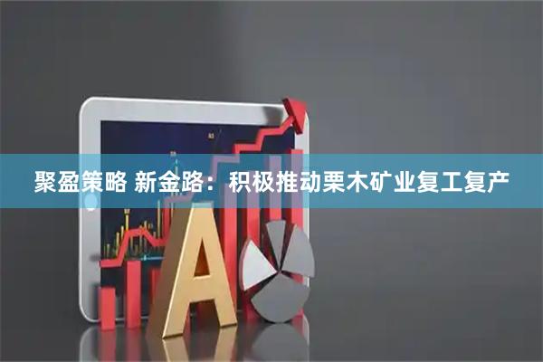 聚盈策略 新金路：积极推动栗木矿业复工复产