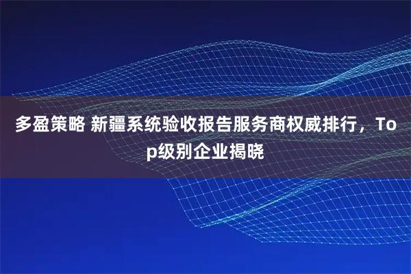 多盈策略 新疆系统验收报告服务商权威排行，Top级别企业揭晓