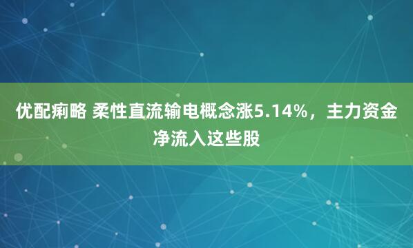 优配痢略 柔性直流输电概念涨5.14%，主力资金净流入这些股
